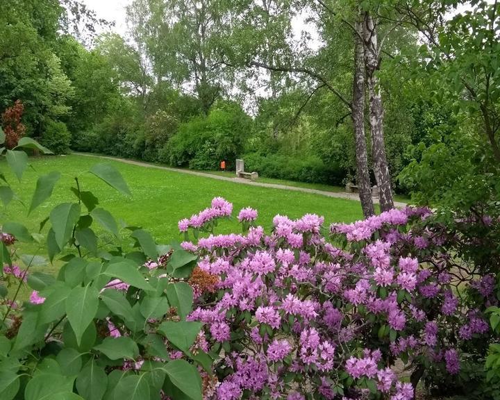 Cafe Im Kurpark Jonsdorf